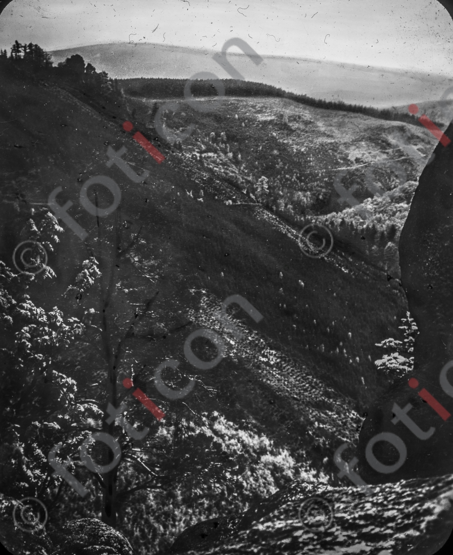 Blick auf den Brocken I View of the Brocken (foticon-simon-168-075-sw.jpg)